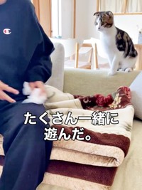 パパと仲良く遊ぶこたろうくん（画像提供：こたとつーちゃんと時々おたまさん）