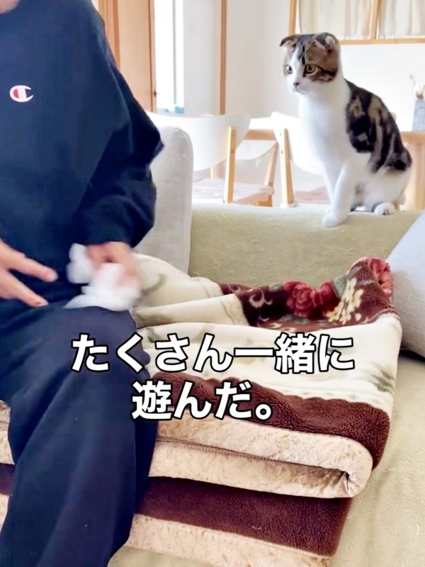 パパと仲良く遊ぶこたろうくん（画像提供：こたとつーちゃんと時々おたまさん）