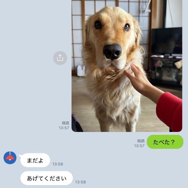 食べてないのに「食べちゃった」演技中のイブくん