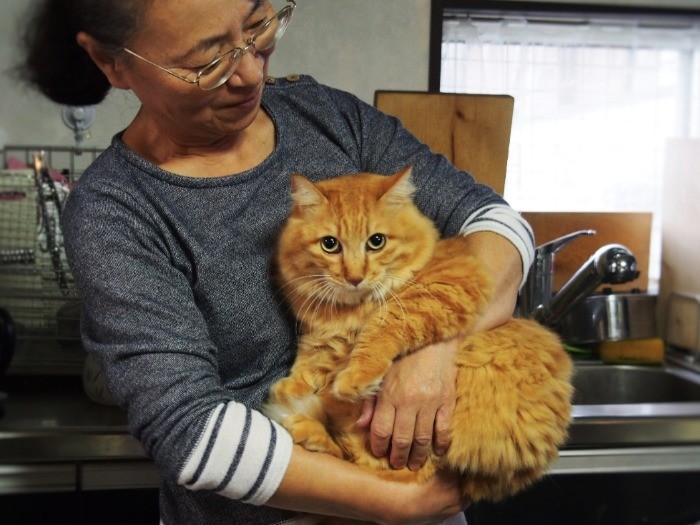 やさしいお母さんは、ボクのご飯係。