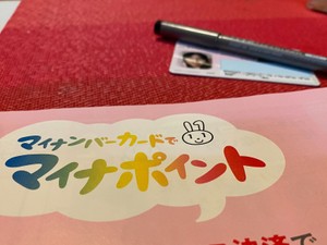 マイナポイントとは？お得な決済サービスはどこ？登録してわかった業者選びのコツ