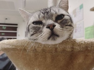 のほほんみずき