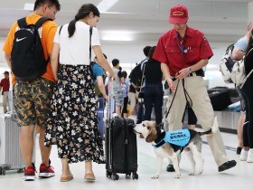 検疫探知犬33→53匹に　荷物に潜む禁止品かぎわけ「お座り」