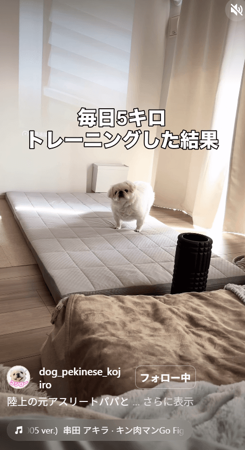 パパと毎日5Km走ったら…