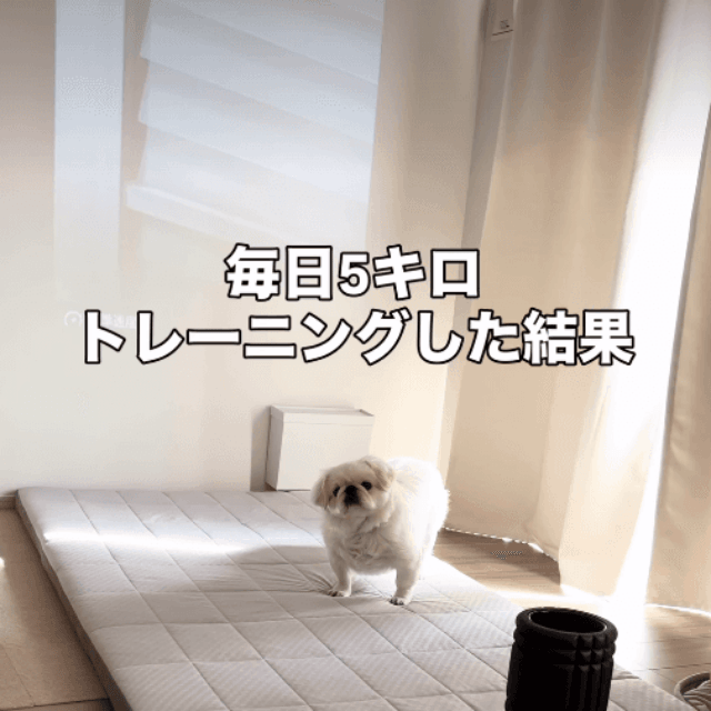 パパと毎日5Km走ったら…