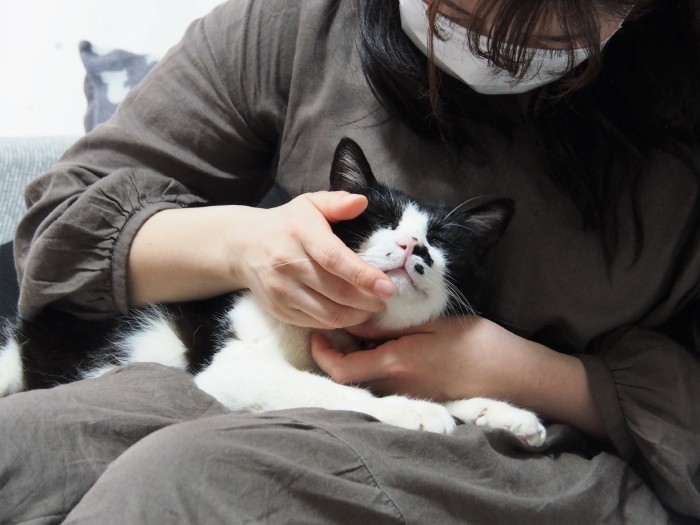 麻子さんひとり占め