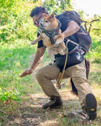 両者の魂がリンクした受け身！？（画像提供：柴犬たけちよさん）