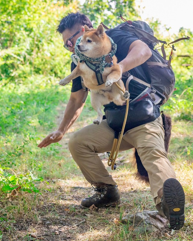両者の魂がリンクした受け身！？（画像提供：柴犬たけちよさん）