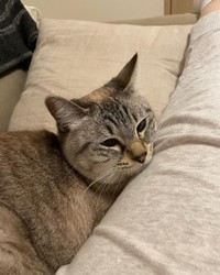 ママのあんよであご枕＝chako_nakaさん提供