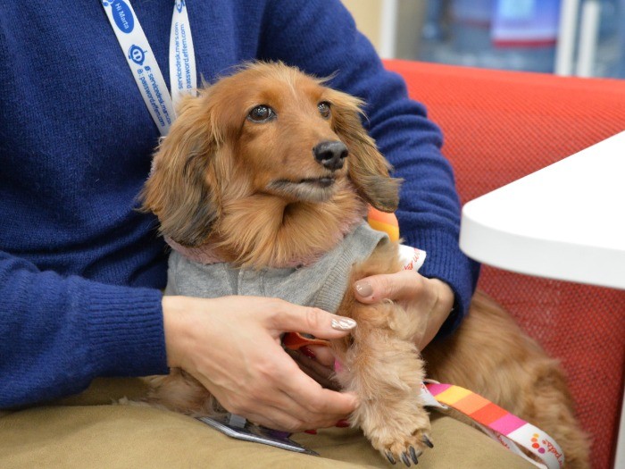 「久々に来たら太った？っていわれたの。次までにやせないと」