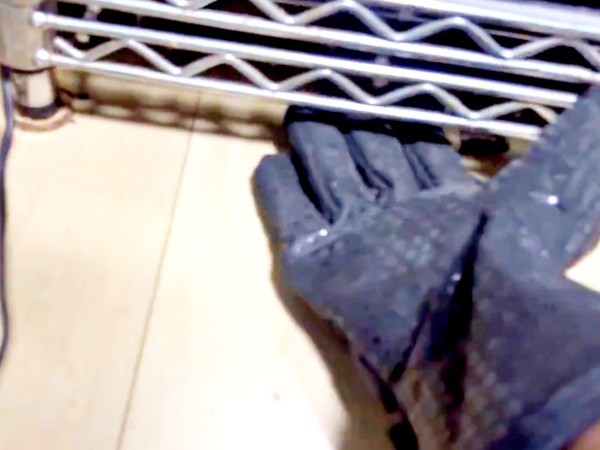 そのままトカゲは隠れてしまいました（画像提供：トギさん）