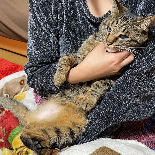 ママに甘えるルナちゃん。