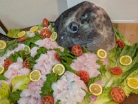 美しく捌かれたマンボウ（提供：奇食崇拝者 Rikutoさん）