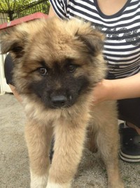 染五郎くんの小さいころ。初めは目も合わせてくれなかったという（提供写真）