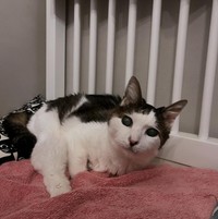 呼吸器を気遣い、自宅には加湿器を設置している