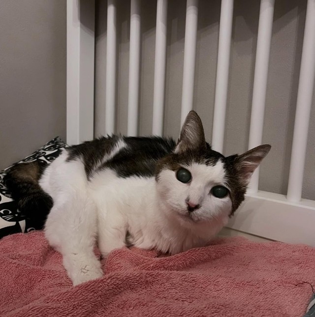 呼吸器を気遣い、自宅には加湿器を設置している