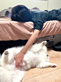 一緒にごろ寝する息子産とちくわくん（画像提供：ちくわ（白ポメラニアン）さん）