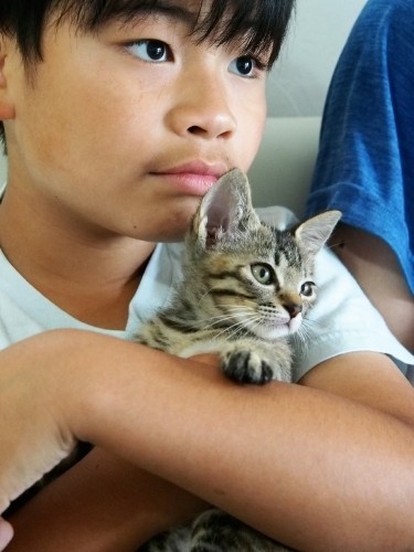 兄妹似てきたような……