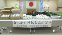 警察が押収したブドウ　美咲警察署　8日