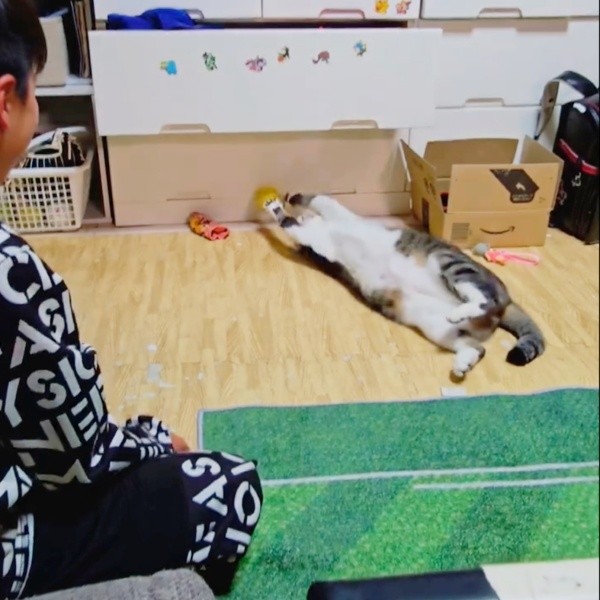 背中にボールを投げられるとへそ天になって手を伸ばすたいちょうくん（画像提供：井上 えりさん）