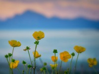 もうニキビを気にしなくなった私に、ニキビを説教してくる母親