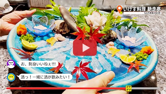 #644いけす料理 馳走亭(1)