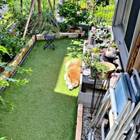 日向にすっぽりおさまってくつろぐおとちゃん（画像提供：柴犬おとちゃん 6歳さん）