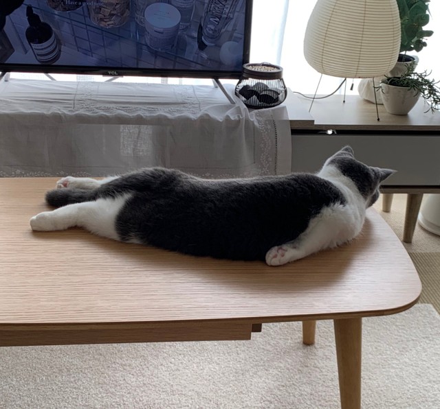 二の腕と肩、いつ鍛えたの？