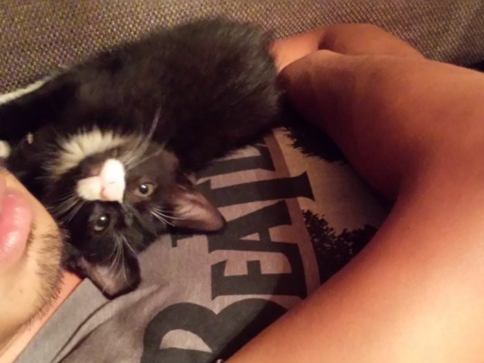 昔からパパにべったりでした