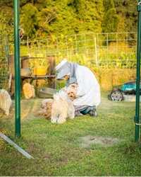 犬も投稿主のこともかわいがってくれるお隣さん／犬猫大家族in福岡さん（@amkclo6）提供