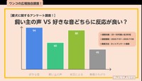 愛犬に関するアンケート
