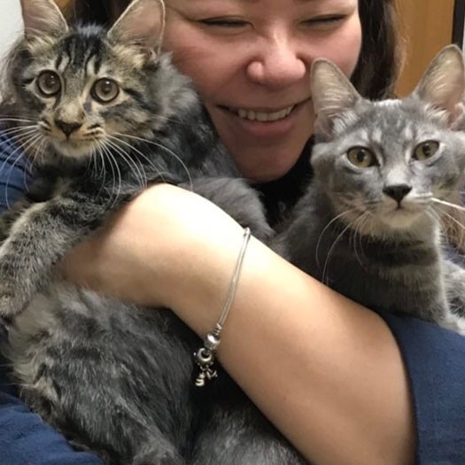 ちびっこ組、テトとジャイブが初めて家に来た時