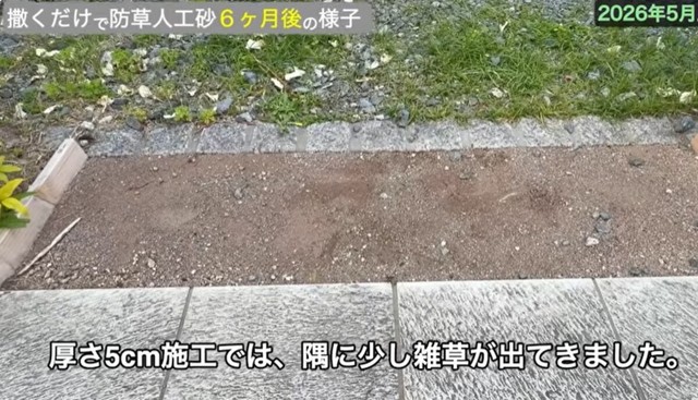 【まとめ】厚さ5cm施工では、隅に少し雑草が出てきました／しかちゃんねる【庭づくりDIY】さん（@しかちゃんねる-b4d）提供