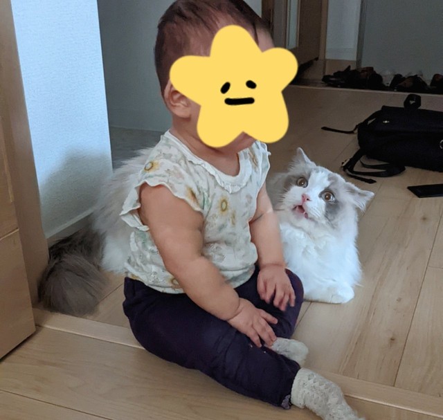 パパの部屋を目指してハイハイしていた途中、ぽかりくんの隣に座り込んだという（提供写真）