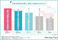 犬用の知育玩具を購入、使用した経験はありますか？（提供画像）