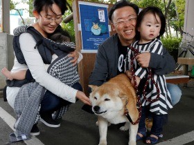 新しい飼い主と幸せだワン　保護されたシバイヌ、３匹が再会