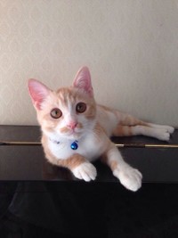 身体が全体的に大きくなり始めた3ヶ月後。