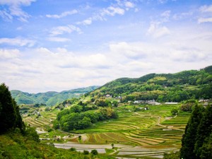 念願だった「故郷ではないどこか」へ行ってわかった、私が見たい景色