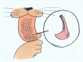 ザラザラの舌先は空洞になっていた　ネコがもつ「舌」の秘密