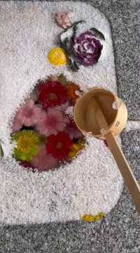氷の中の花が…！（動画よりキャプチャ、トリミング 画像提供：荘内神社さん）