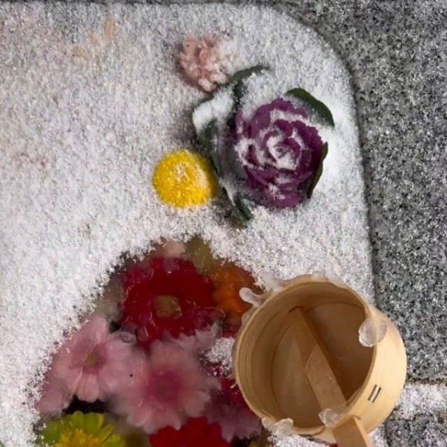 氷の中の花が…！（動画よりキャプチャ、トリミング 画像提供：荘内神社さん）