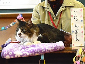 「責任持って飼って」 猫市長のジュリアーノ、学校に登場