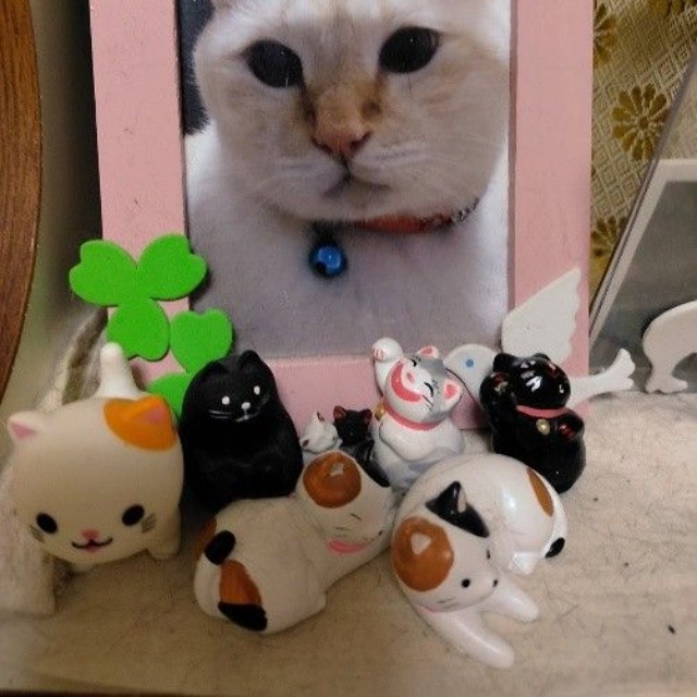 レビンくんが慕っていた、先住猫のレオンくん