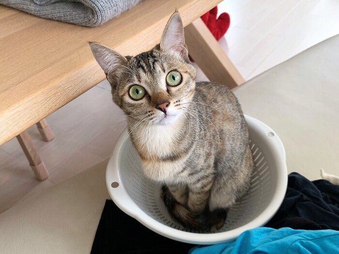 いろんなものの中に入る（健太さん提供）