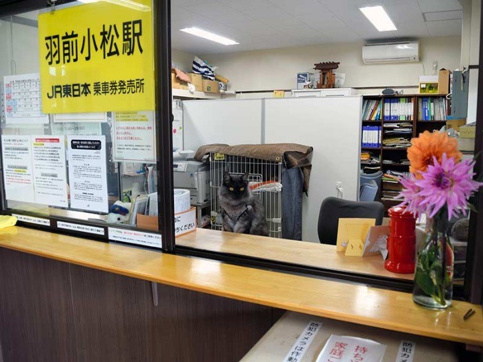 しょこらがいるJR羽前小松駅の窓口