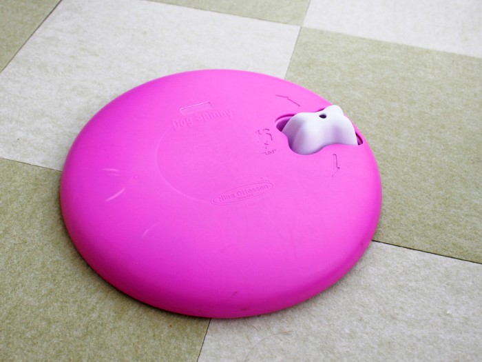 「ドッグ・スピニー」（ニーナ・オットソン）