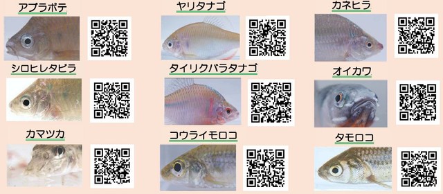 岡山市 提供
