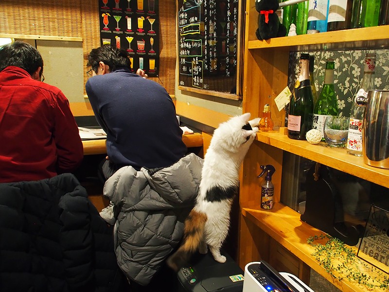 まだまだいたずら盛り