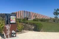 カタールのパンダ館の写真