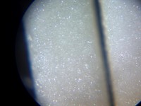 揖保の糸上級。キラキラ輝いている